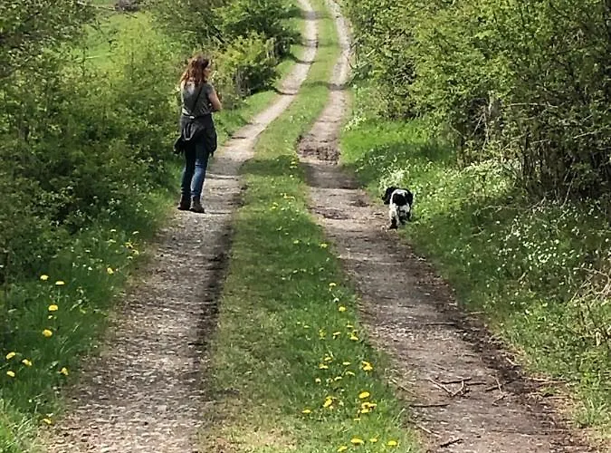 Haus An Der Rur - 5 Mitten In Lejlighed Monschau