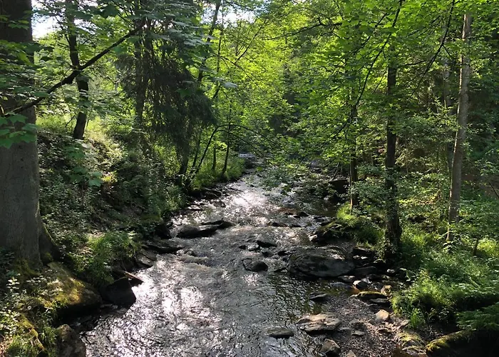 Haus An Der Rur - 5 Mitten In *