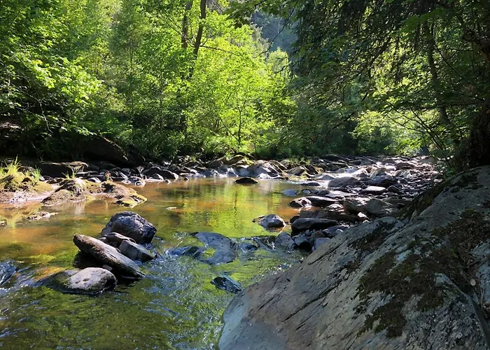 Haus An Der Rur - 5 Mitten In Lejlighed *
