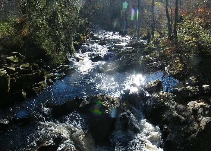 Haus An Der Rur - 5 Mitten In